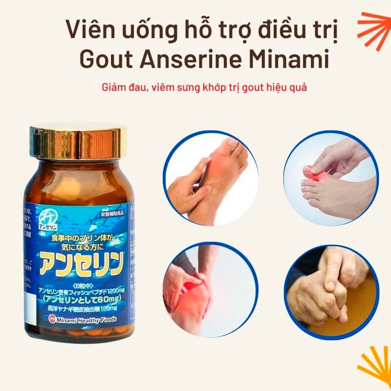thuoc gout anserine minami nhat ban 240 vien ho tro dieu tri gut anh 001